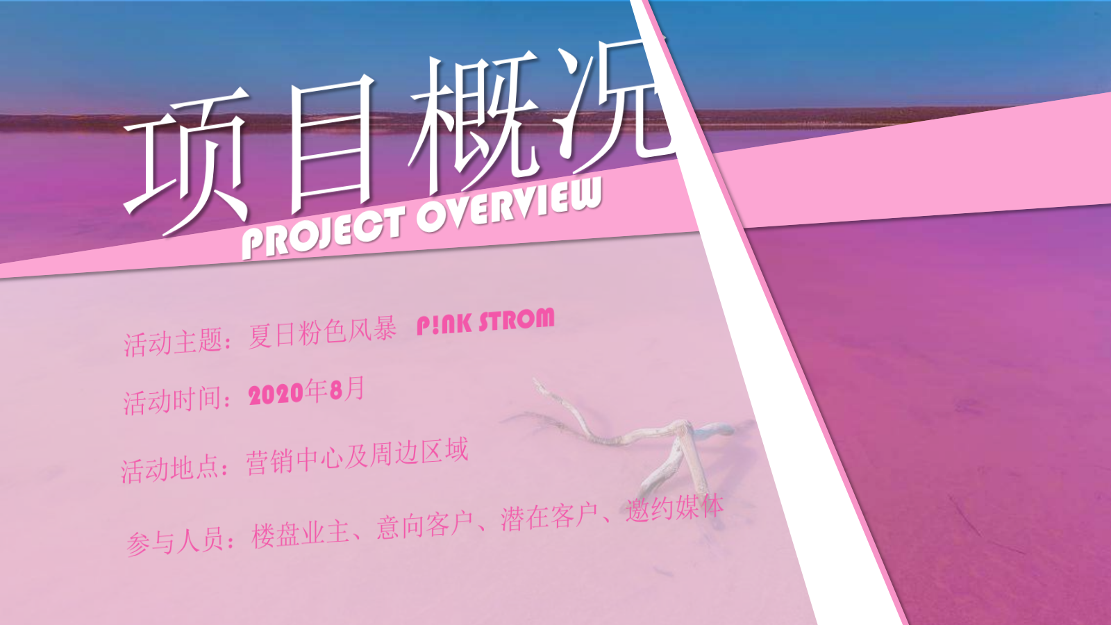 2020地产项目暑期夏日狂欢节粉色（夏日粉色风暴主题）活动策划方案-41P.pptx_第6页