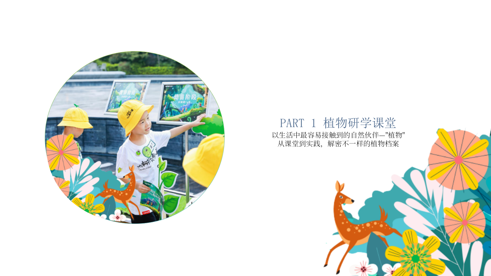“万物生长 觅秘向往”暑期户外植物研学夏令营活动策划方案.pptx_第10页