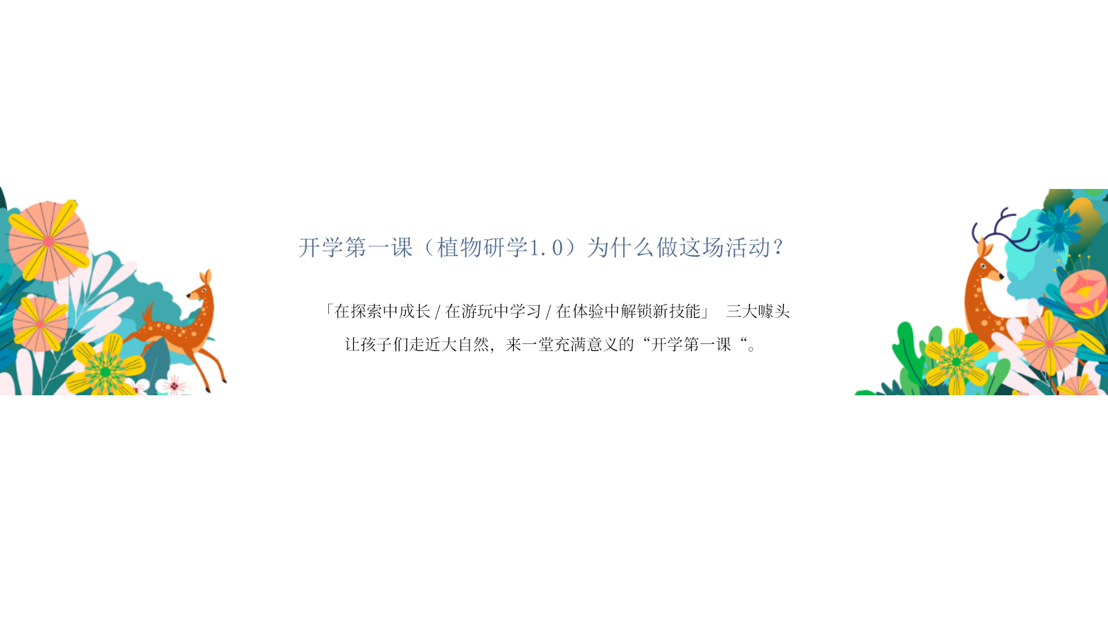 “万物生长 觅秘向往”暑期户外植物研学夏令营活动策划方案.pptx_第3页