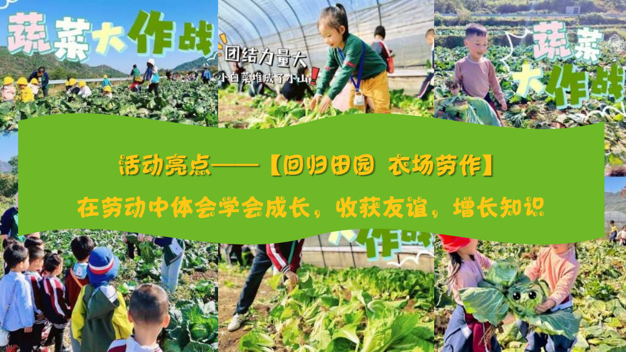 “小小田野生活家”研学夏令营夏季趣味亲子生活服务生活节活动方案.pdf_第9页
