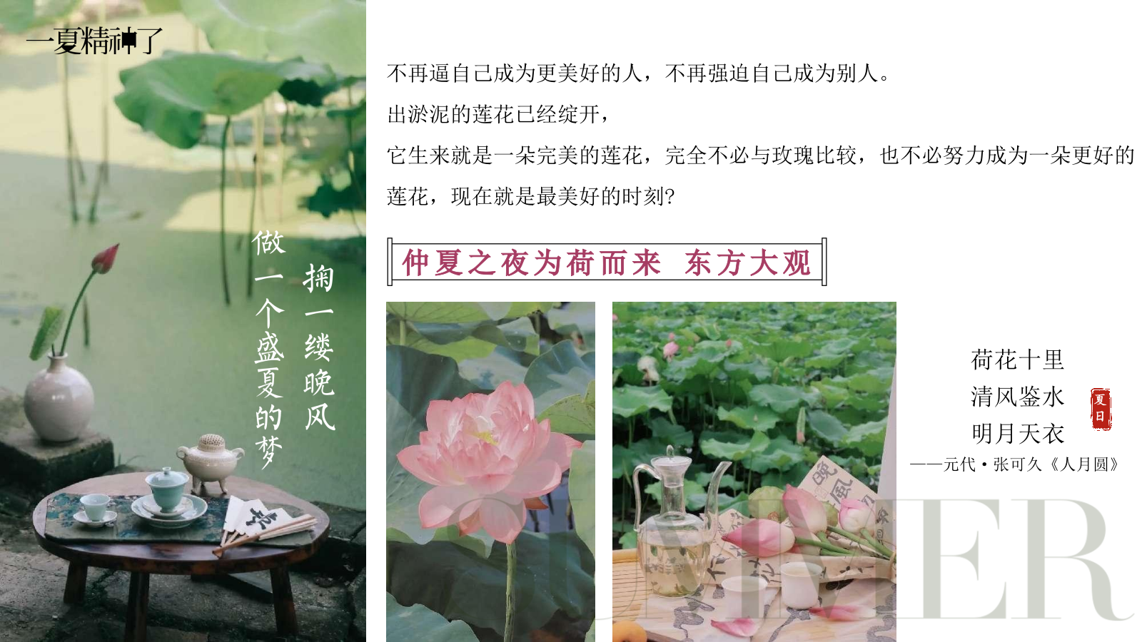 2025夏季荷花夏日荷花宴主题VIP客户答谢晚宴活动方案.pptx_第3页