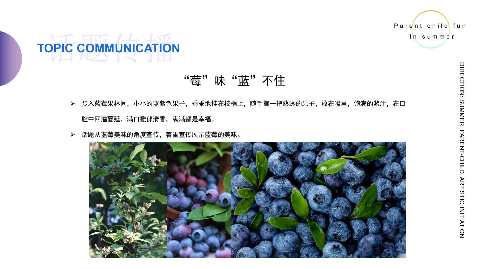 2025初夏莓好计划安徽时光生态农业夏季户外蓝莓采摘节活动方案.pptx_第8页