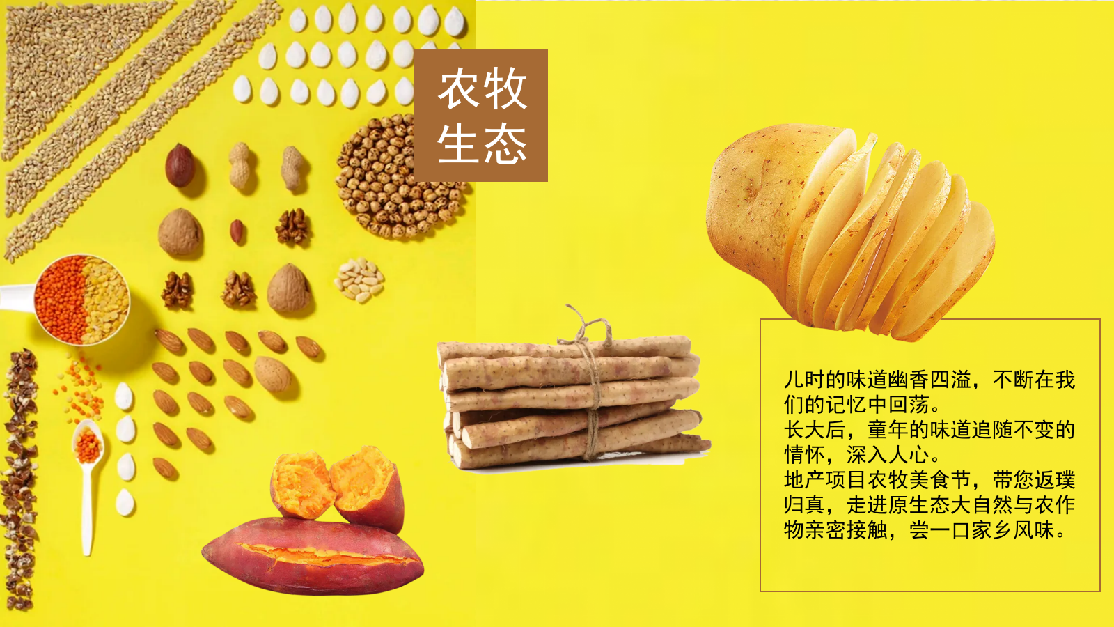 夏季粗粮味蕾 湖景食光农牧美食节暨7月暖场系列活动策划案.pptx_第3页