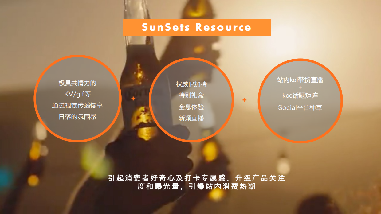 科罗娜夏季促销方案.pdf_第7页