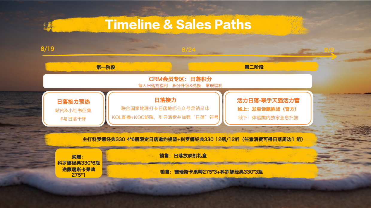 科罗娜夏季促销方案.pdf_第8页