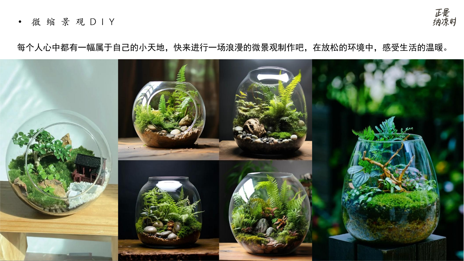 地产周末暖场活动方案（夏日纳凉）.pptx_第7页