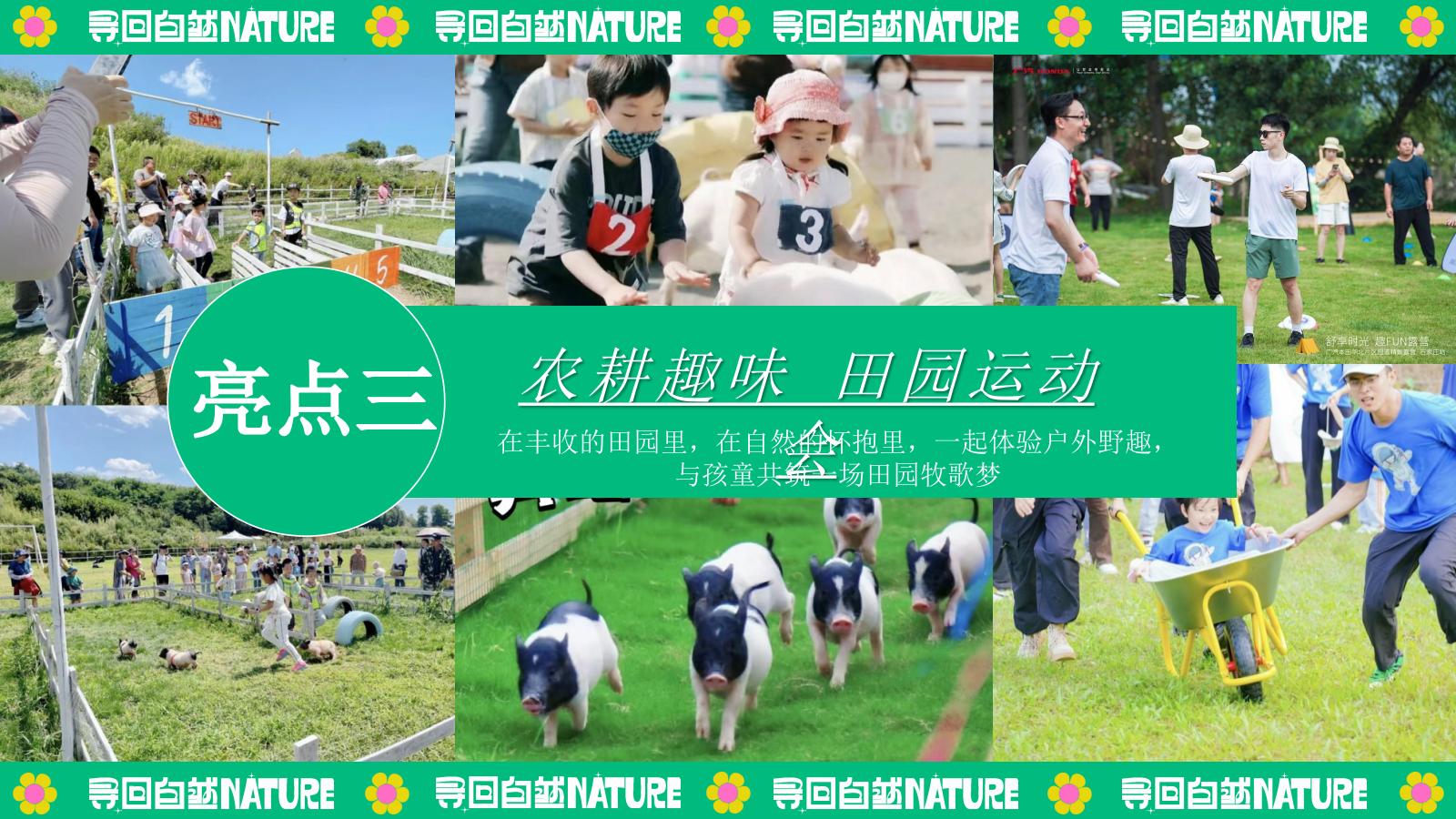 夏季暑期田园研学趣野生活节「寻找自然NATURE主题」活动策划方案.pptx_第10页