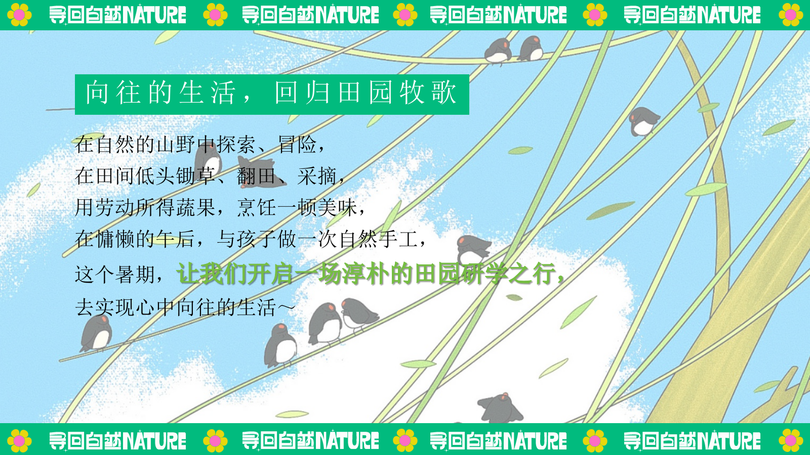 夏季暑期田园研学趣野生活节「寻找自然NATURE主题」活动策划方案.pptx_第6页