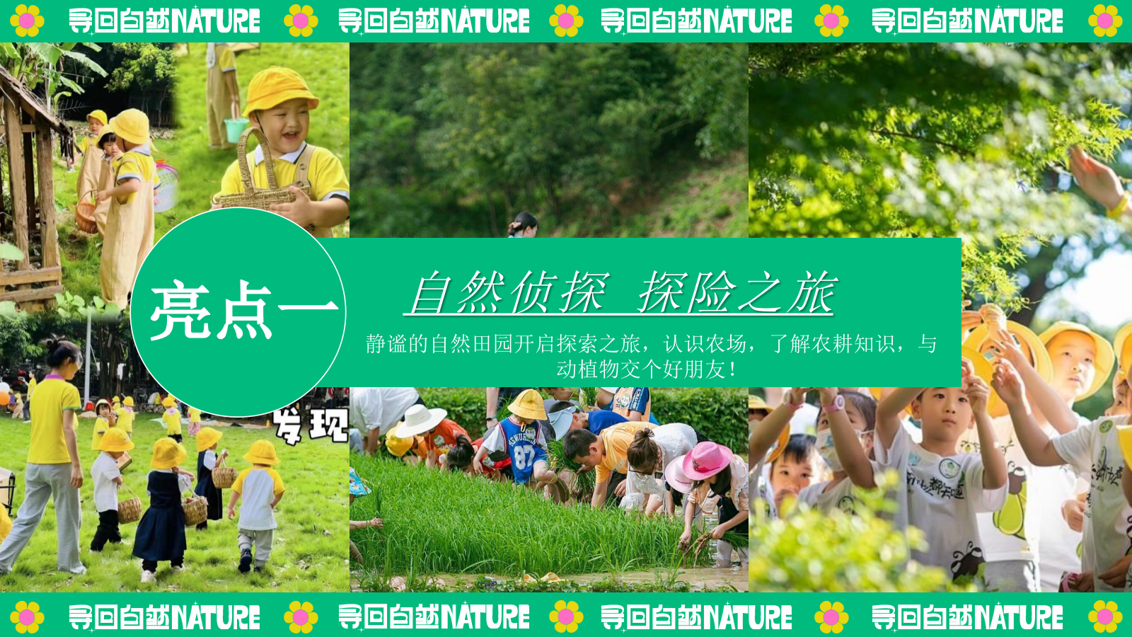 夏季暑期田园研学趣野生活节「寻找自然NATURE主题」活动策划方案.pptx_第8页