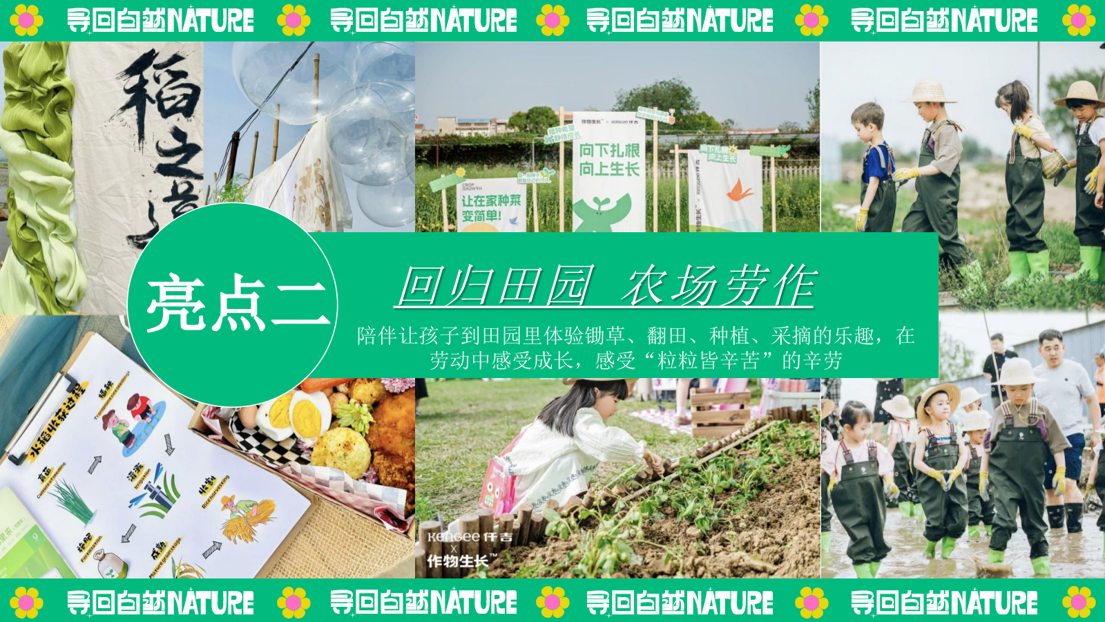 夏季暑期田园研学趣野生活节「寻找自然NATURE主题」活动策划方案.pptx_第9页