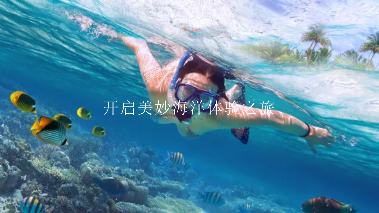 「盛夏海洋节」活动策划方案-33页.pptx_第2页