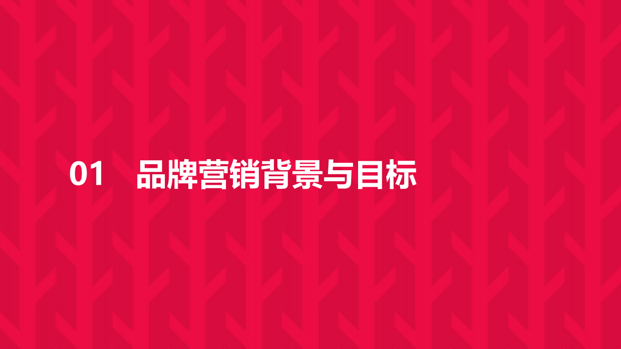 王老吉夏日整合营销.pdf_第3页