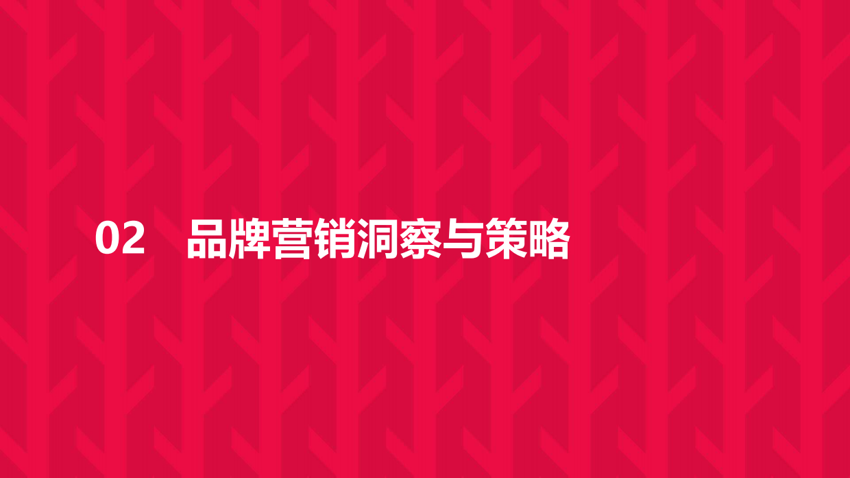 王老吉夏日整合营销.pdf_第6页
