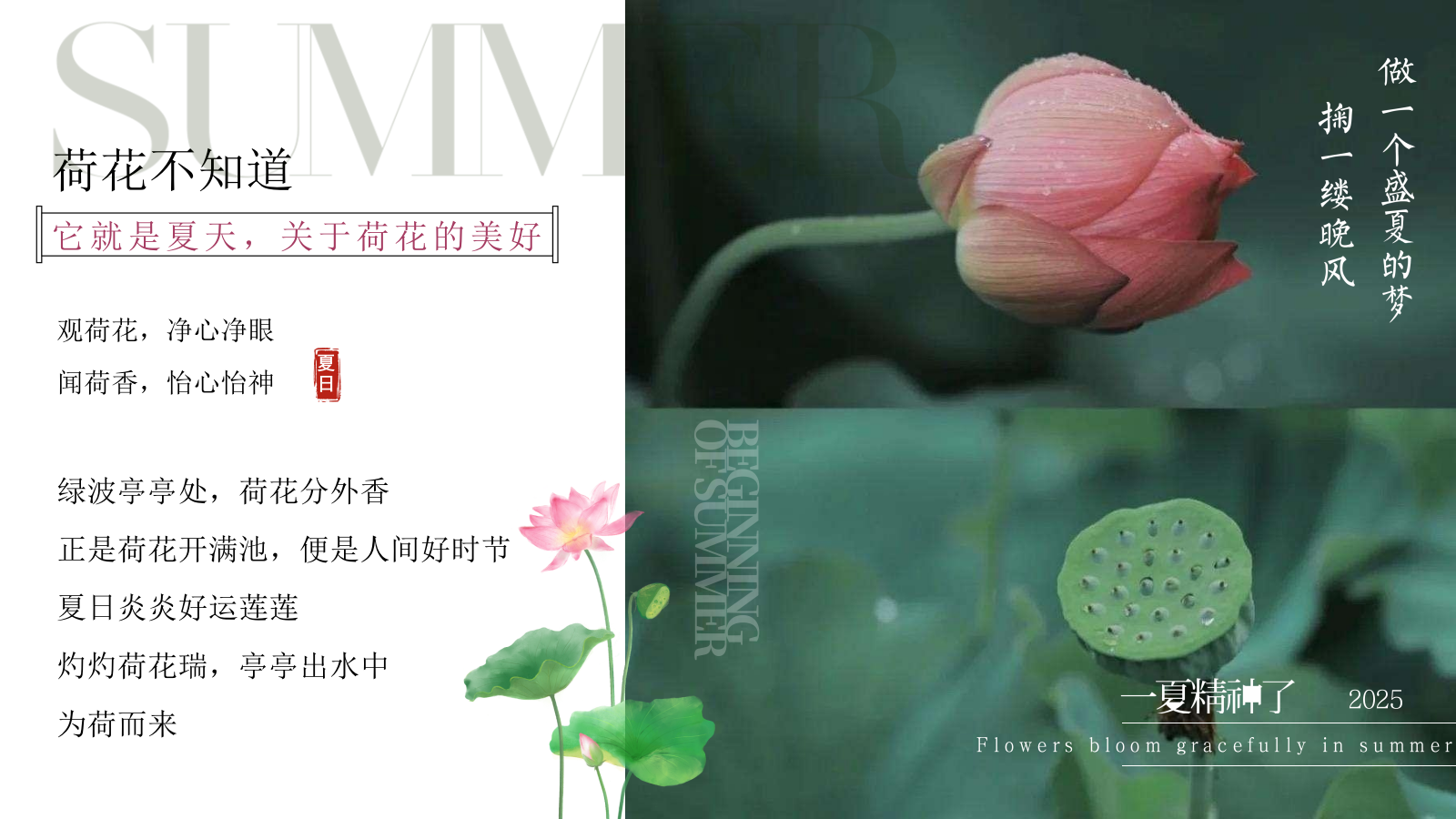 夏季荷花夏日荷花宴主题VIP客户答谢晚宴活动方案.pptx_第4页