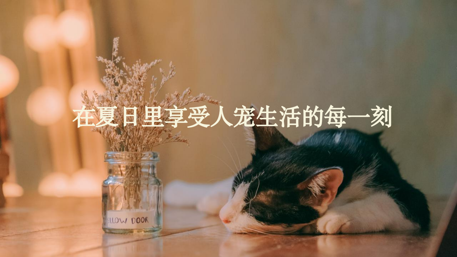 商业购物中心宠物主题市集嘉年华“萌宠夏日”主题活动策划方案活动策划 萌宠 集市.pptx_第7页
