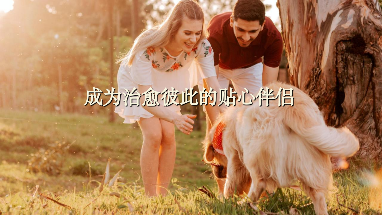 商业购物中心宠物主题市集嘉年华“萌宠夏日”主题活动策划方案活动策划 萌宠 集市.pptx_第8页