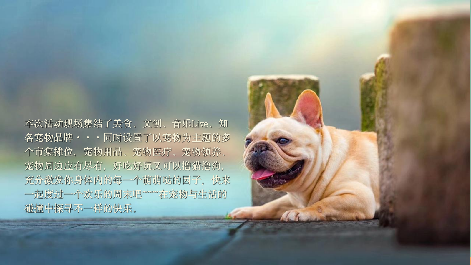 商业购物中心宠物主题市集嘉年华“萌宠夏日”主题活动策划方案活动策划 萌宠 集市.pptx_第9页