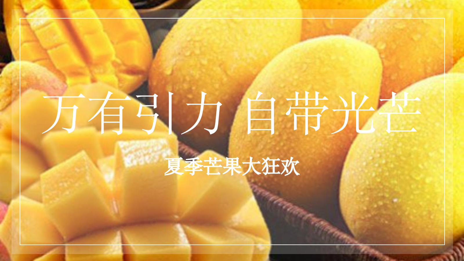 2022地产项目夏季芒果大狂欢（万有引力自带光芒主题）活动策划方案-34P.pptx