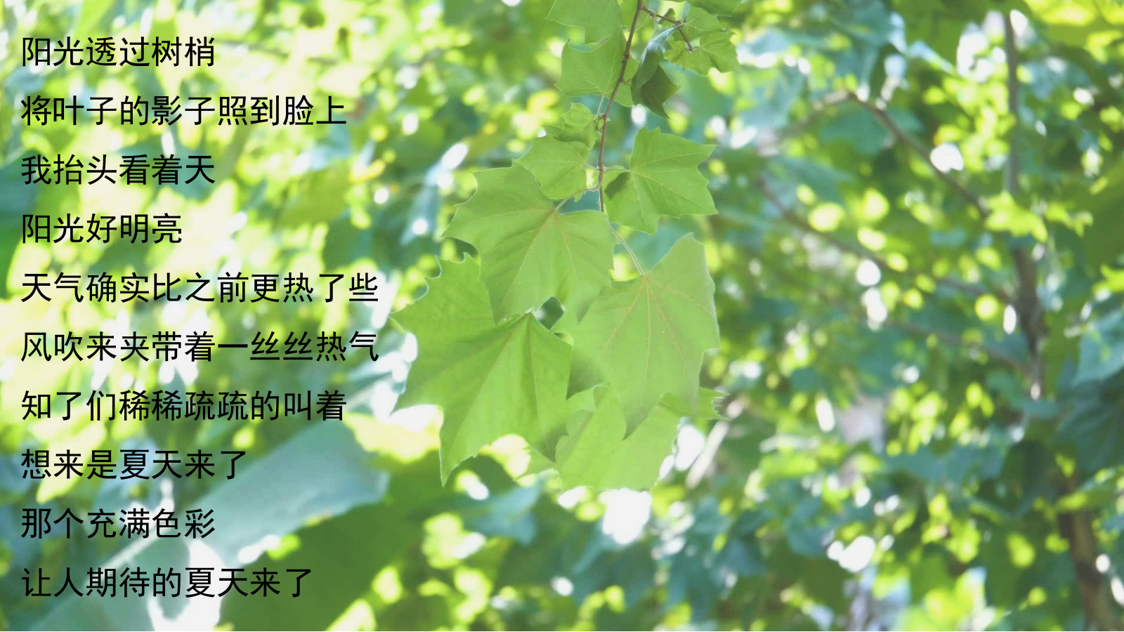 2025夏日七月八月夏季暑期月度周末系列活动方案.pptx_第5页