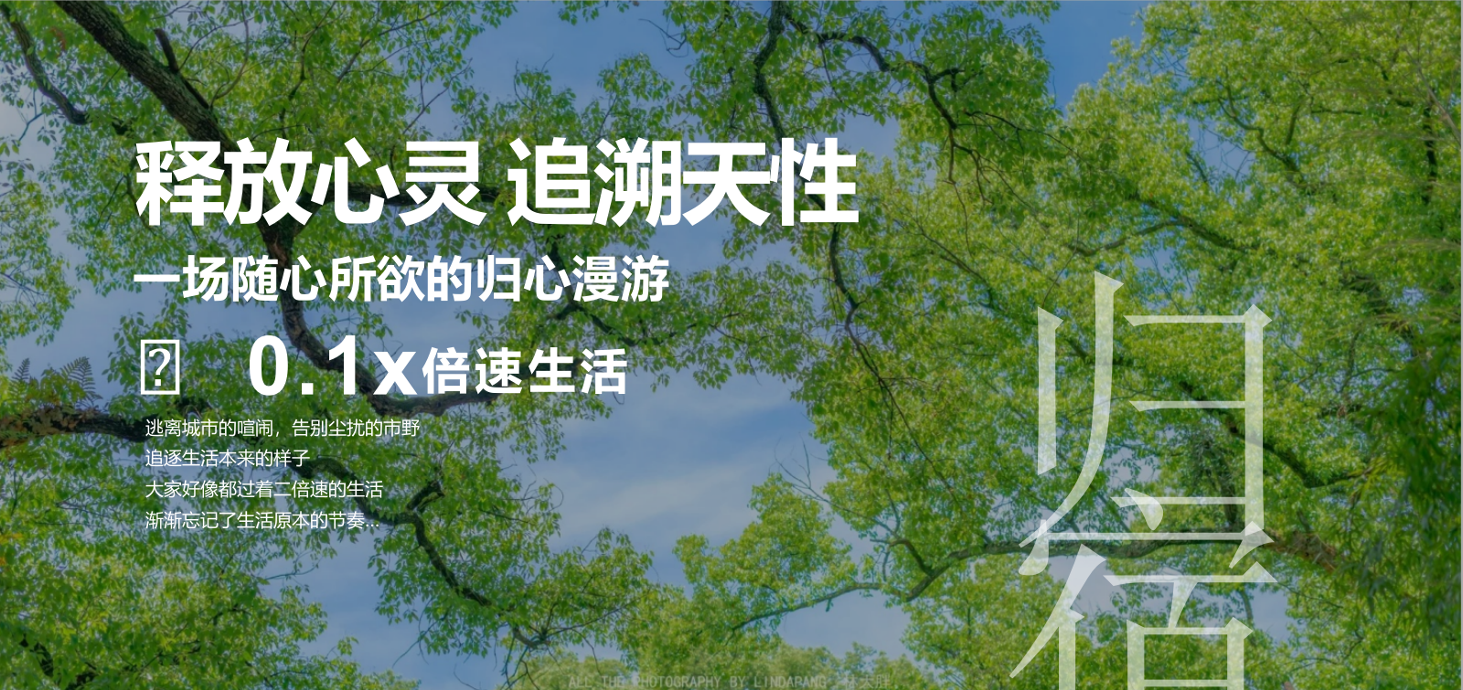 夏季溯溪活动团建露营生活服务团建拓展活动策划方案.pptx_第8页