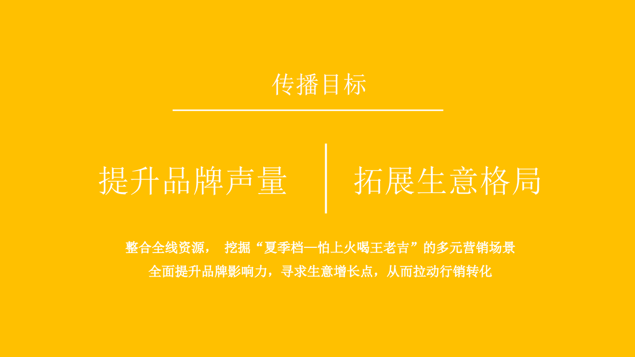 王老吉夏季档传播方案打印稿件.pdf_第4页