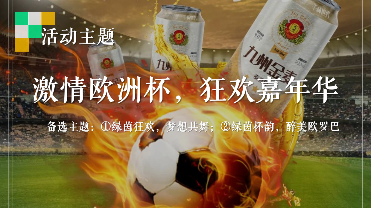 夏季足球欧洲啤酒节「激情欧洲杯 狂放嘉年华主题」活动策划案.pdf_第10页