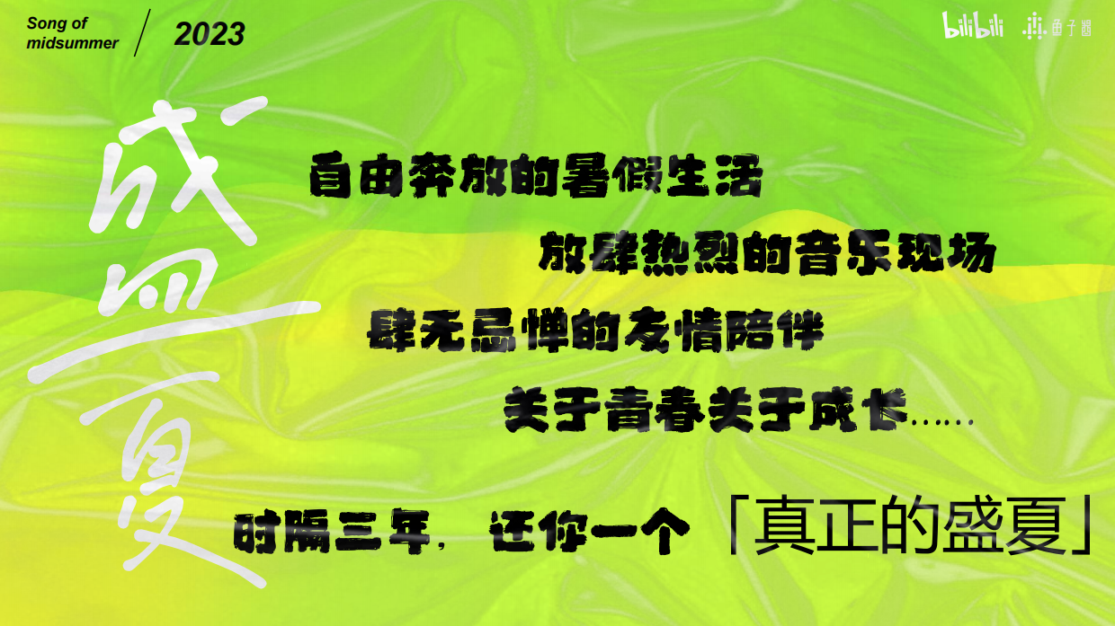 《盛夏之歌》招商方案.pdf_第2页