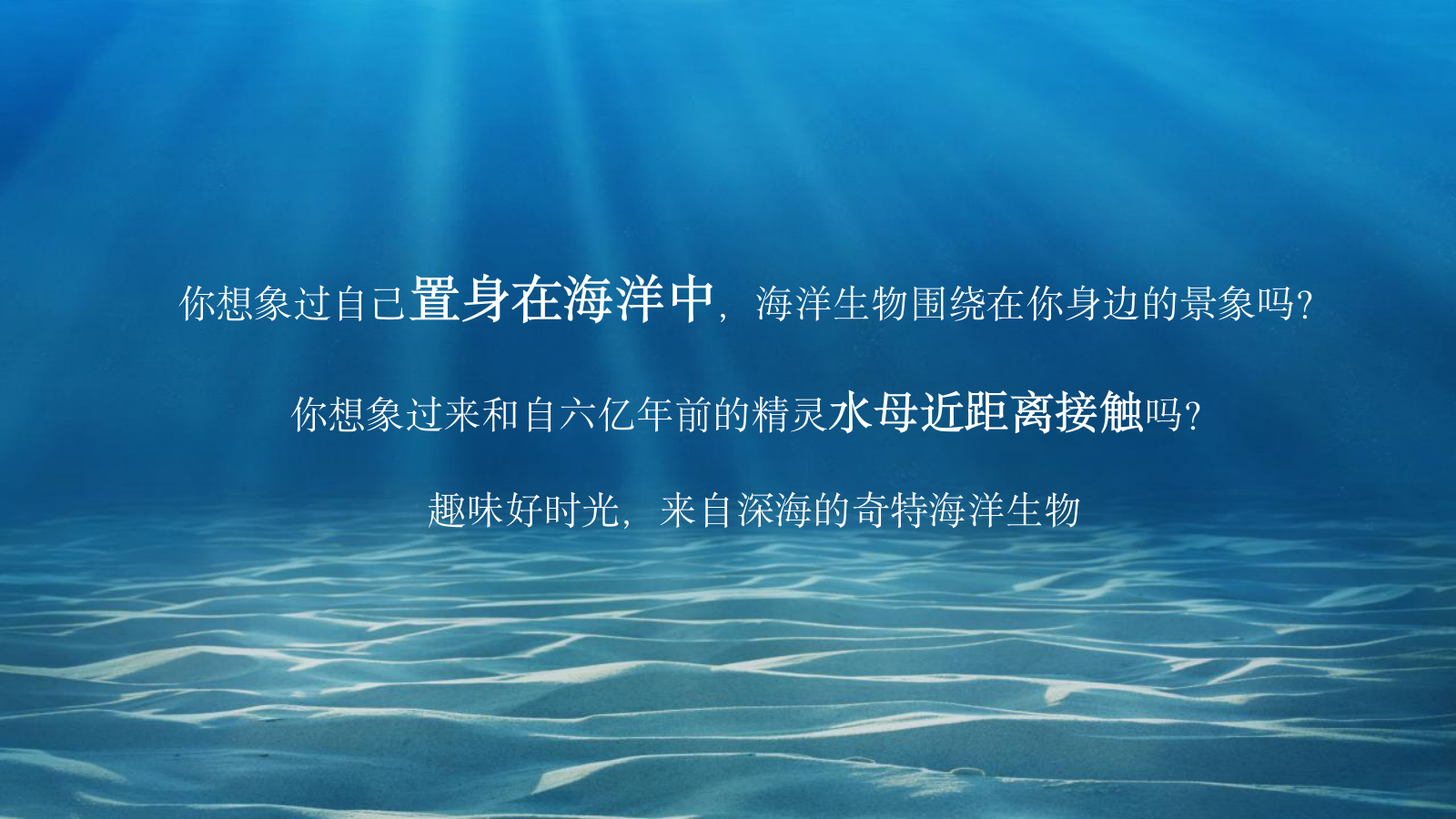 2023地产项目海洋展（海洋微世界 趣味好时光主题）活动策划方案-27P.pptx_第2页