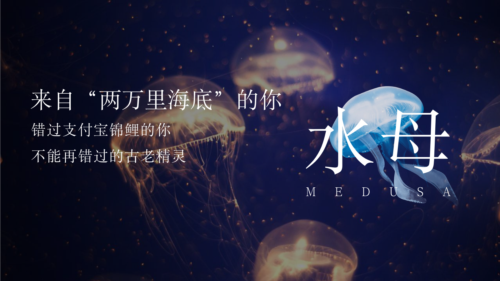 2023地产项目海洋展（海洋微世界 趣味好时光主题）活动策划方案-27P.pptx_第4页