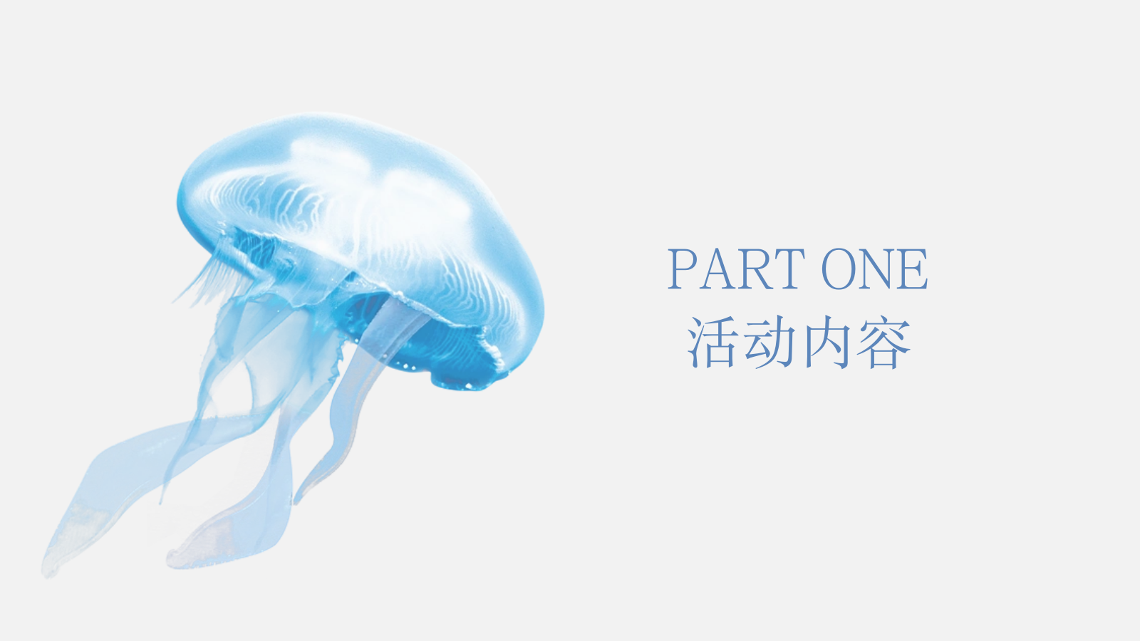 2023地产项目海洋展（海洋微世界 趣味好时光主题）活动策划方案-27P.pptx_第6页