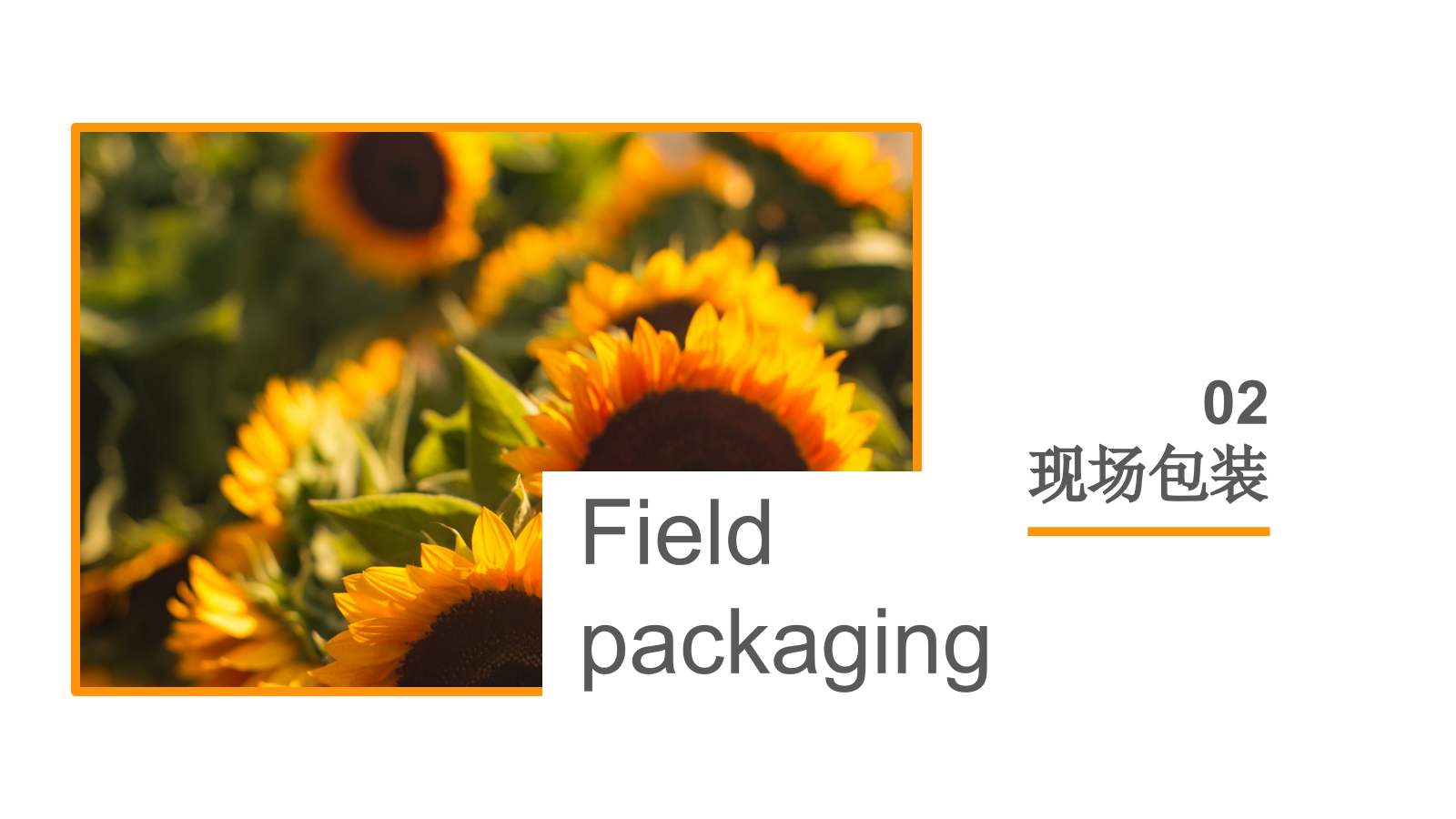 七夕情人节暖场活动方案.pptx_第5页