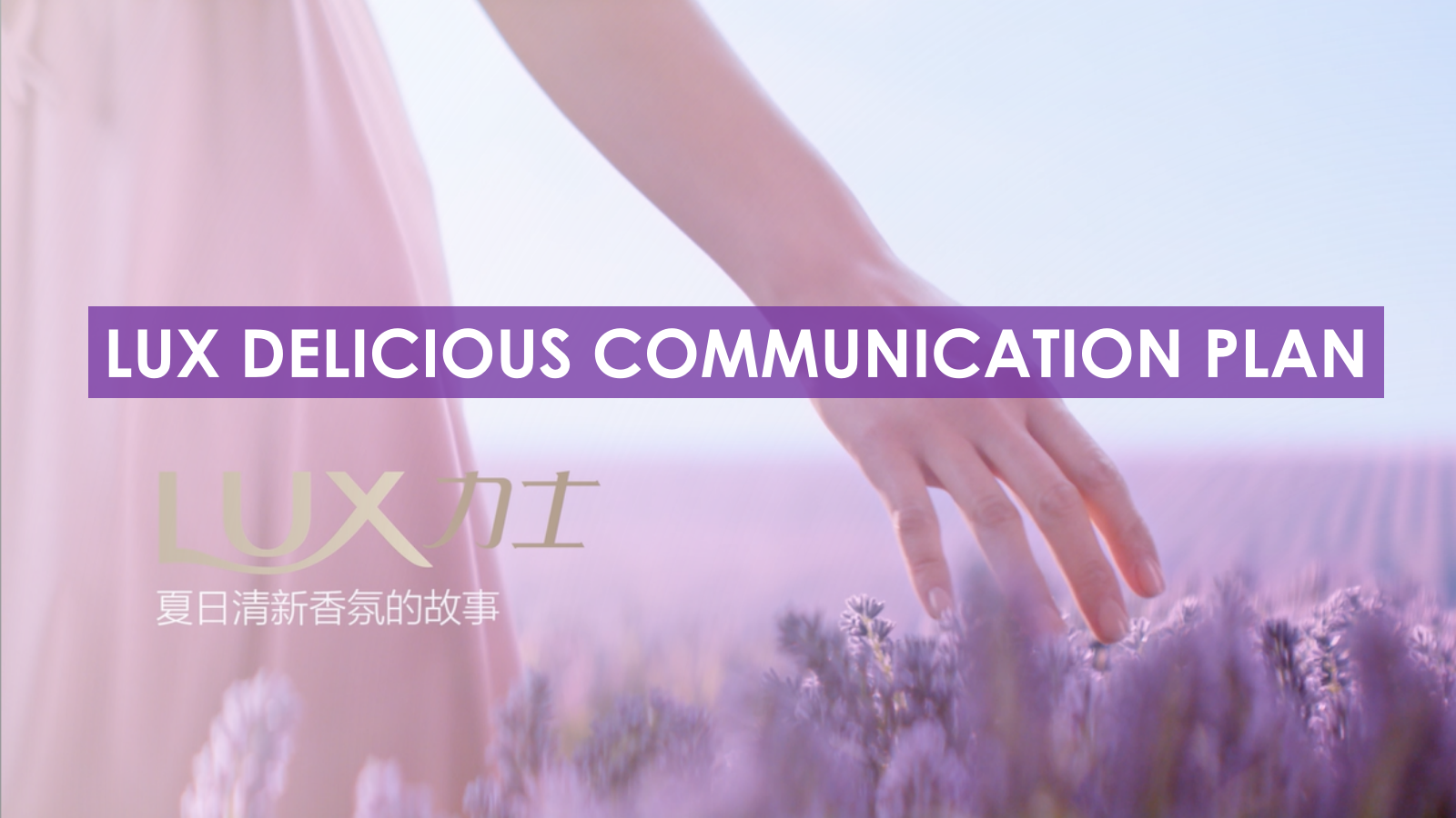 Lux summer campaign proposal.pptx_第1页
