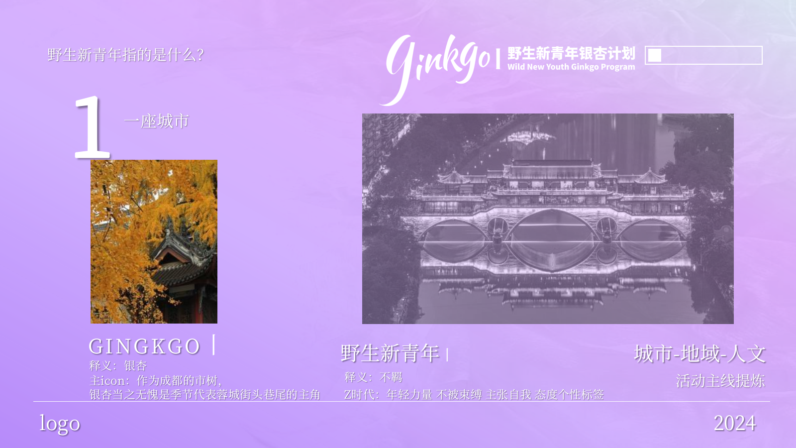 2023野生新青年银杏音乐节活动策划方案-63P.pptx_第4页