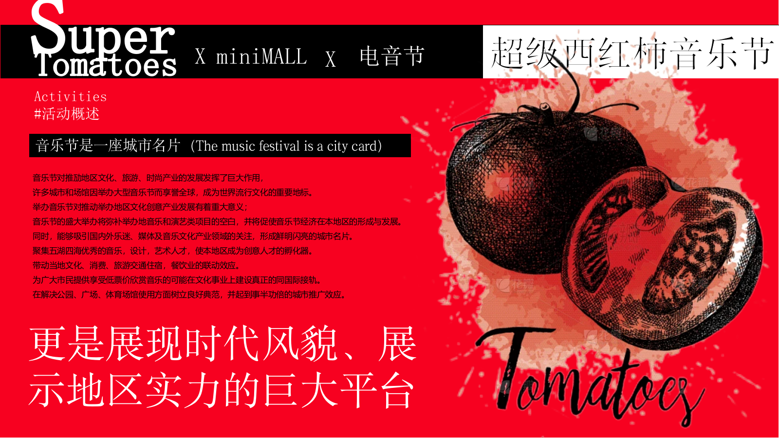 “超级西红柿”音乐节活动策划方案.pptx_第3页