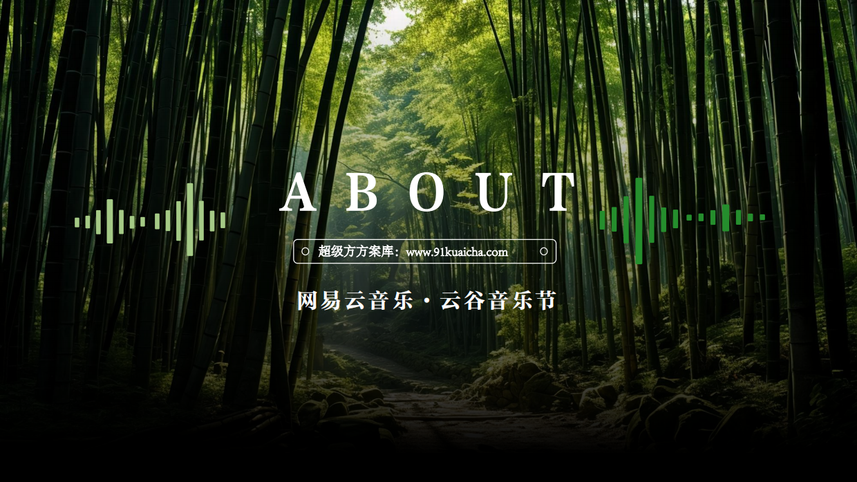《网易云音乐·云谷音乐节》招商通案2024.pdf_第2页