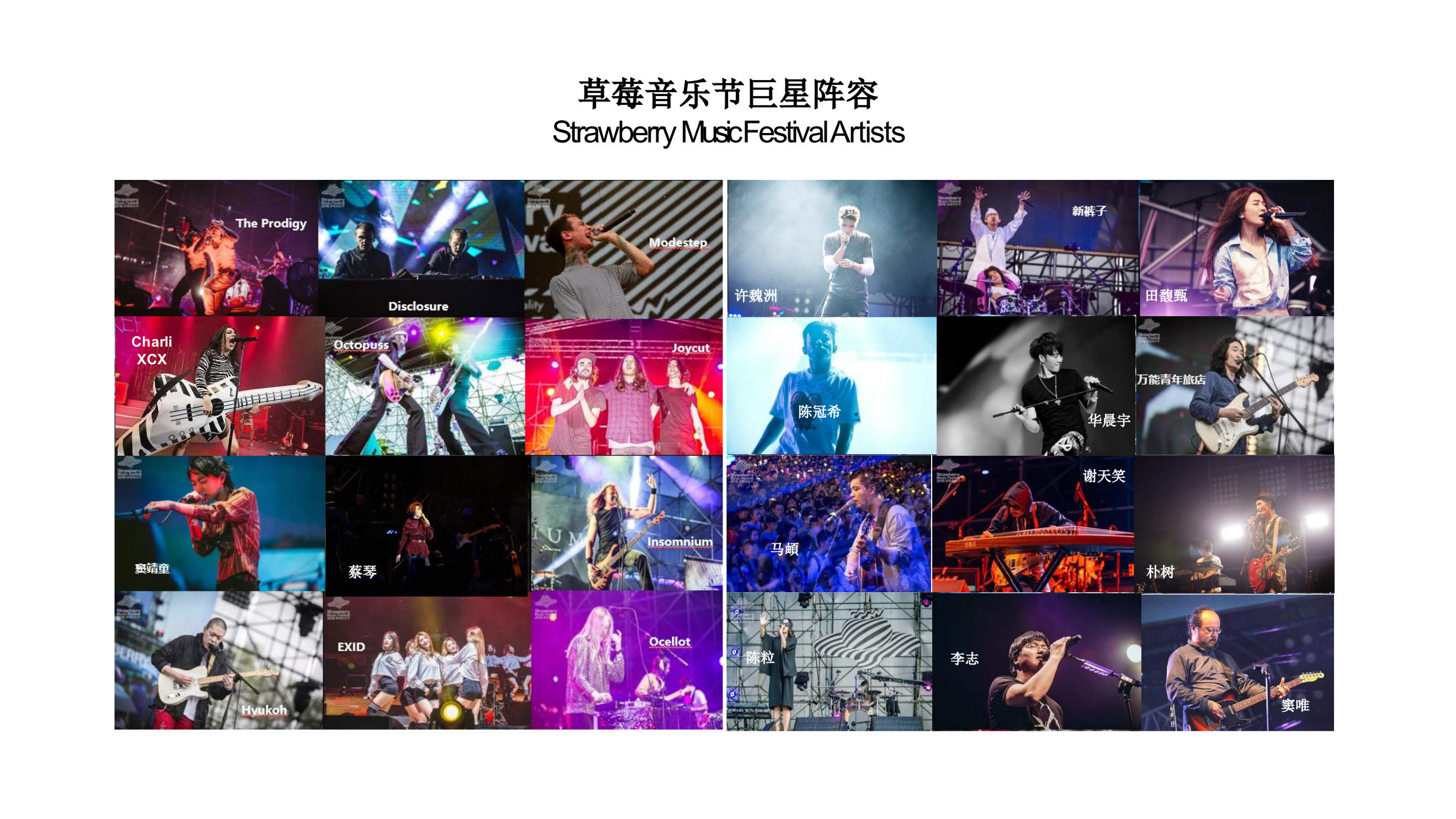 2019草莓音乐节合作方案.pptx_第9页