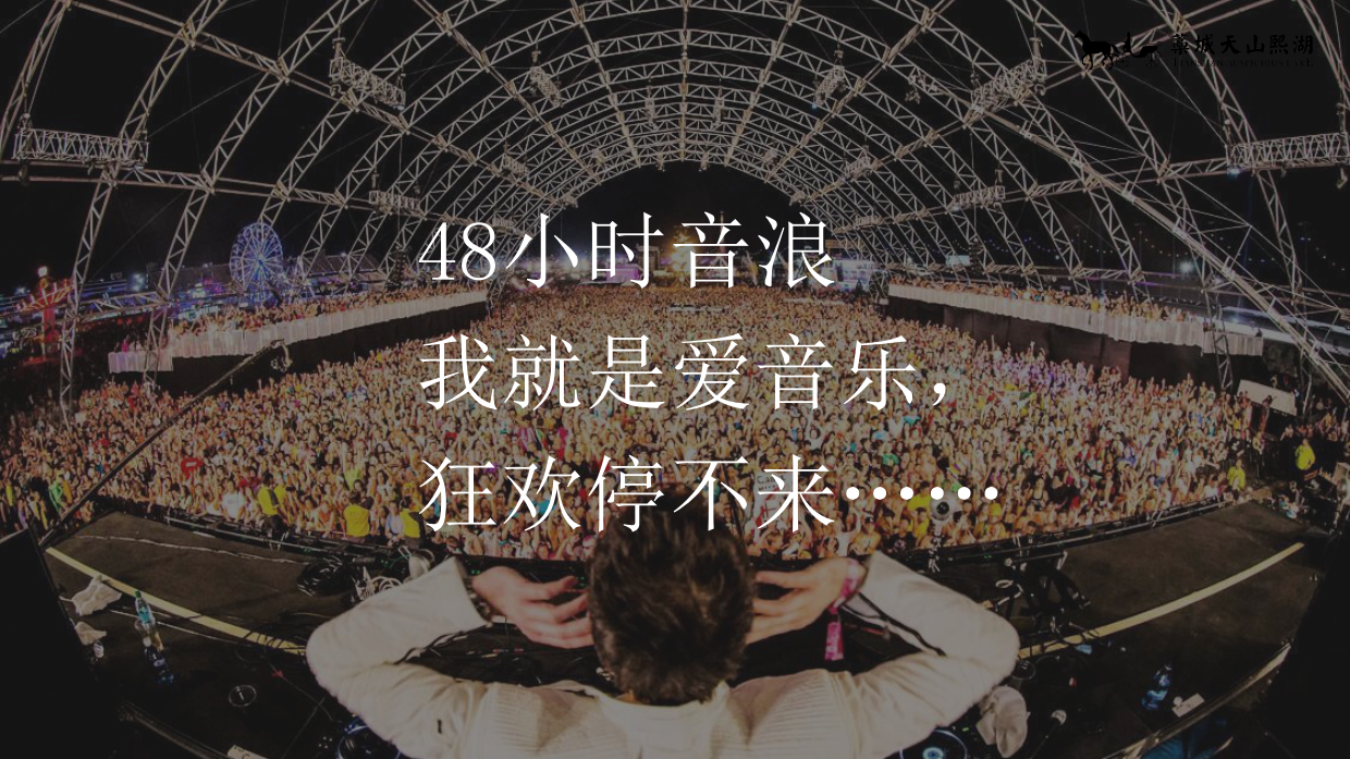 2024-如心音乐节系列「快乐回归·共赴夏日之约主题」活动策划方案.pdf_第3页