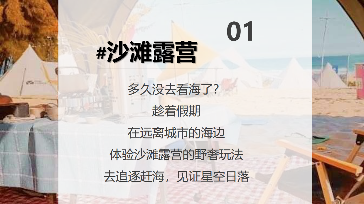 2024文旅项目沙滩露营集市+音乐节策划方案.pdf_第2页