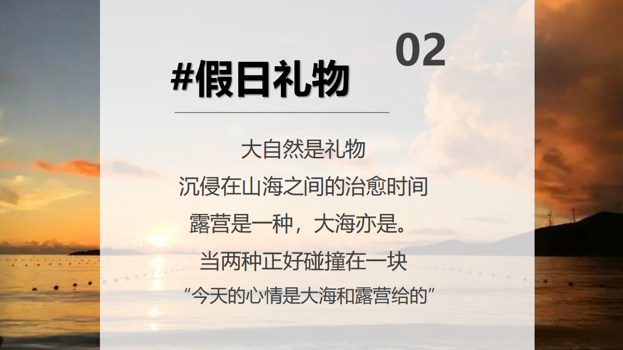2024文旅项目沙滩露营集市+音乐节策划方案.pdf_第3页
