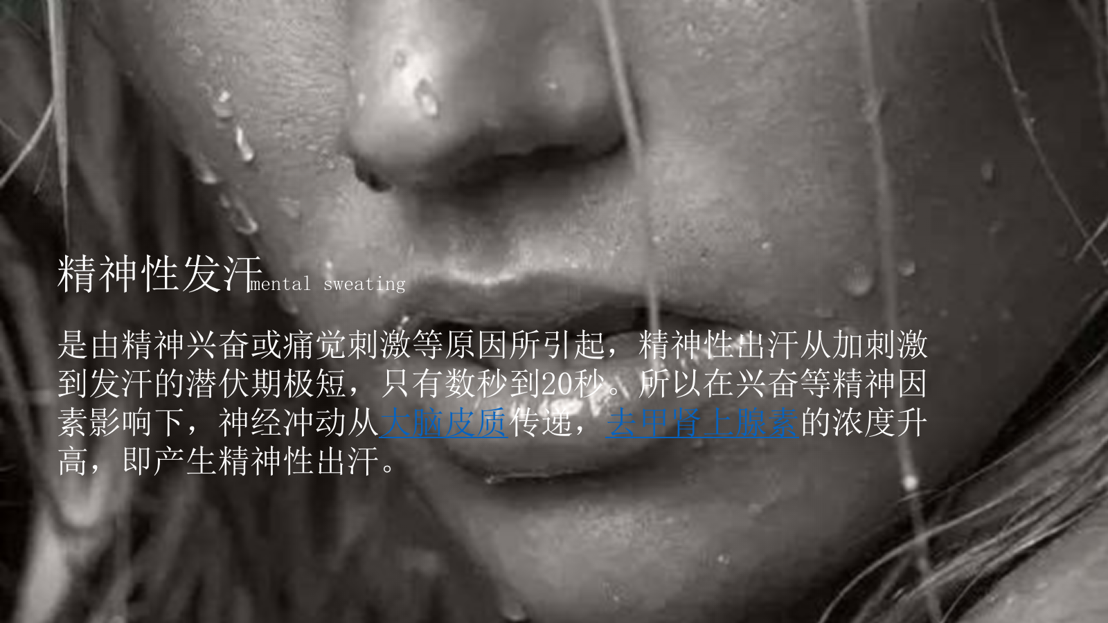 2025夏季热汗派对音乐节活动方案.pptx_第2页