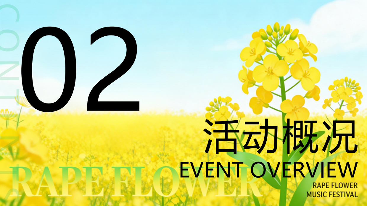 2026春季户外油菜花田音乐节活动方案.pdf_第6页