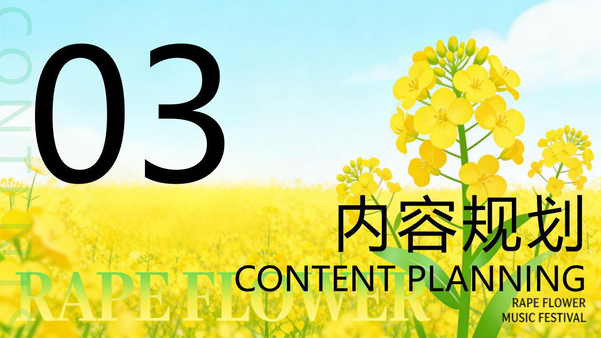 2026春季户外油菜花田音乐节活动方案.pdf_第9页