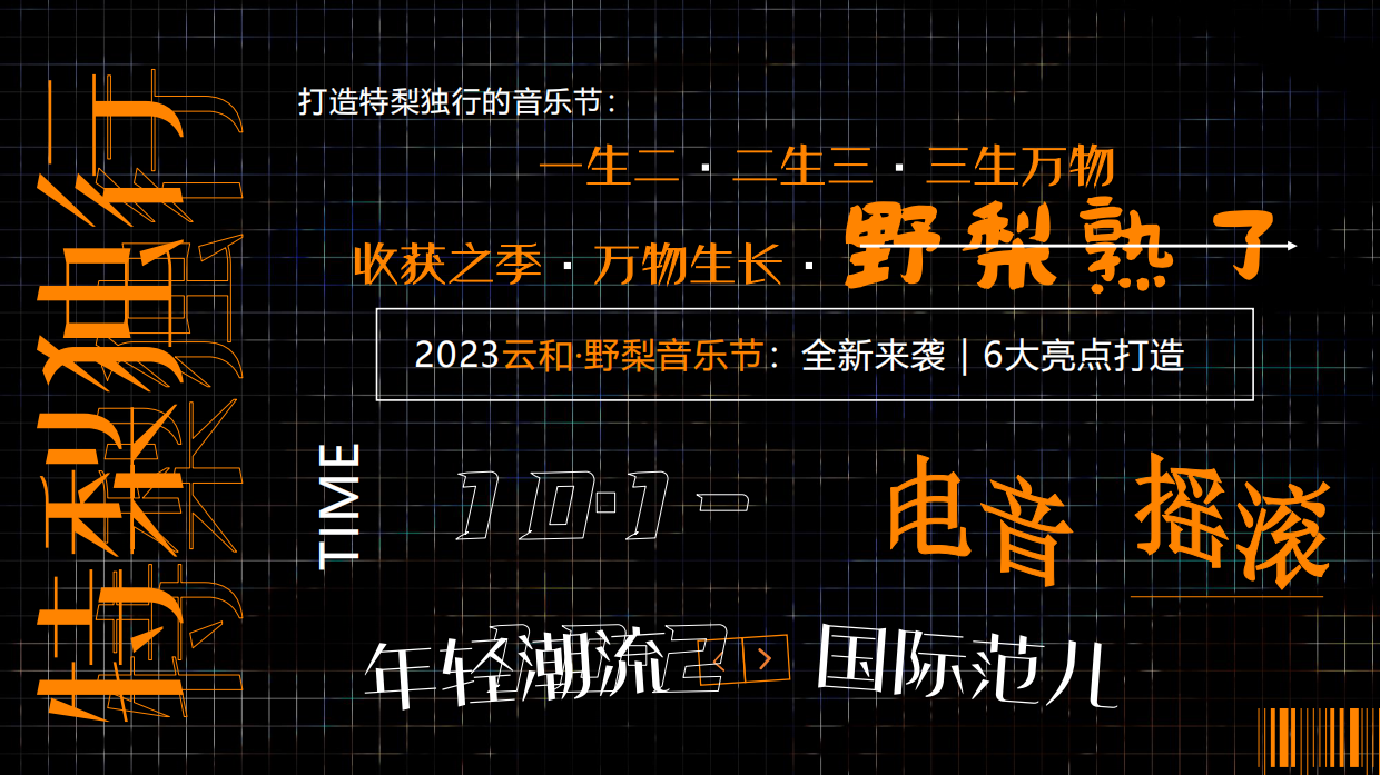 潮流文娱音乐节电音节活动策划方案（云和野梨音乐节）.pdf_第8页