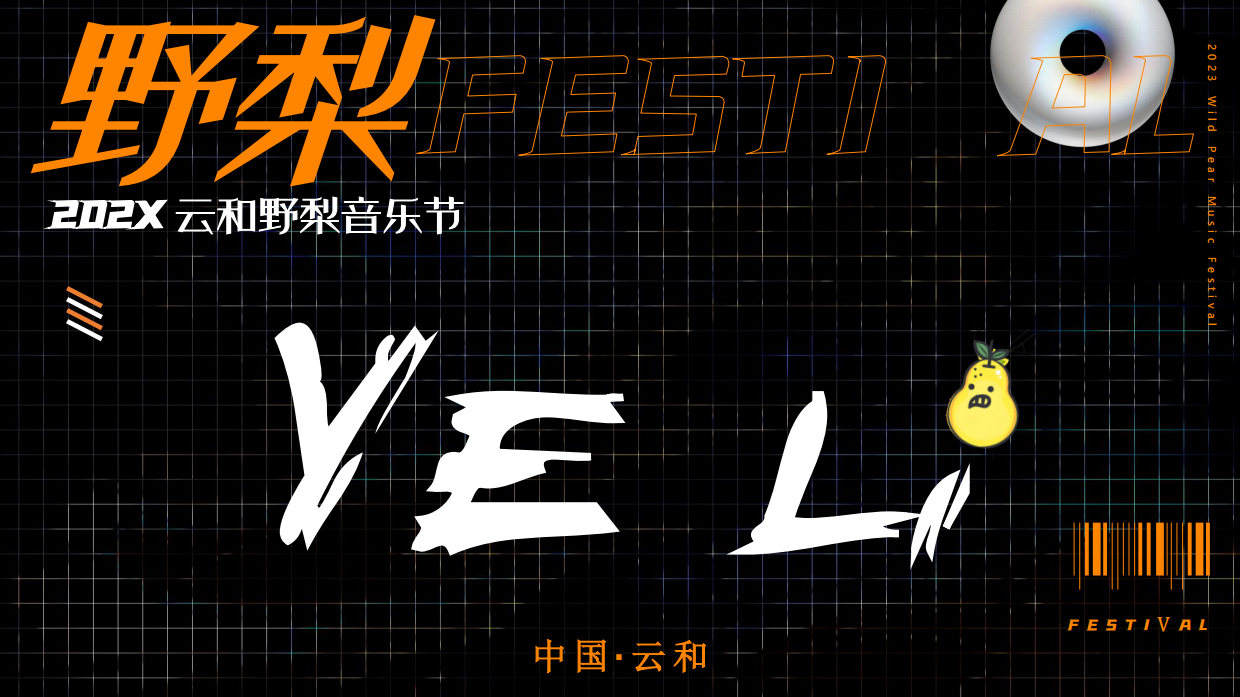 潮流文娱音乐节电音节活动策划方案（云和野梨音乐节）.pdf