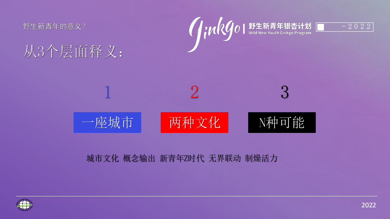 城市野生新青年音乐节活动策划方案.pdf_第3页