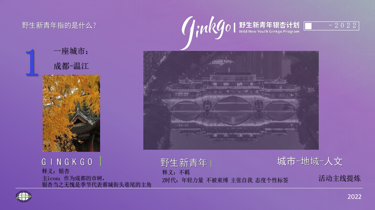 城市野生新青年音乐节活动策划方案.pdf_第4页