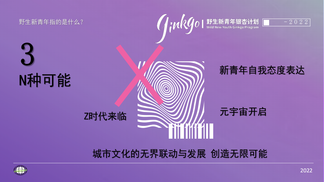 城市野生新青年音乐节活动策划方案.pdf_第6页