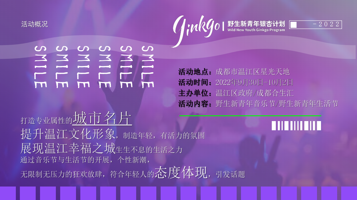 城市野生新青年音乐节活动策划方案.pdf_第8页
