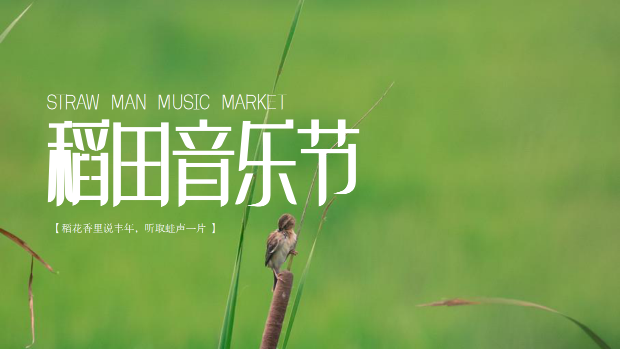 稻田音乐节活动策划方案-53P.pdf_第1页