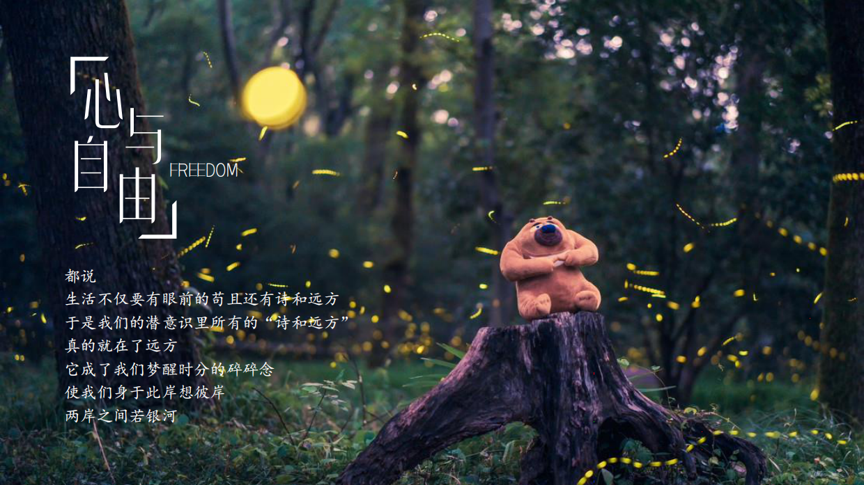 稻田音乐节活动策划方案-53P.pdf_第2页